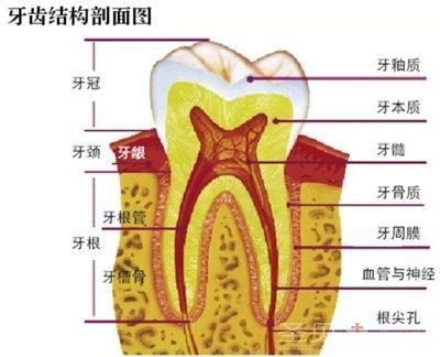 牙龈发黑怎么办