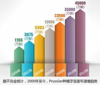 开春之际种好牙 马年从“齿”开始