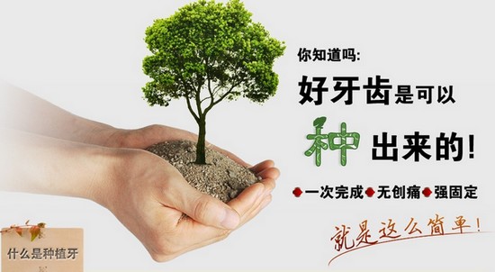 三月圣贝种牙季 7-8日种牙徐浩准让你“长” 